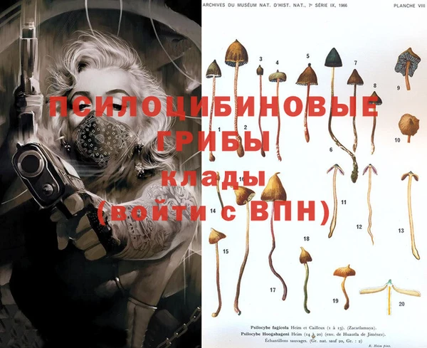 кокс Вязники