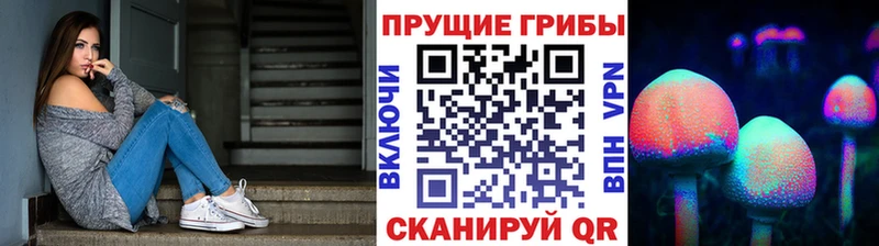 Галлюциногенные грибы прущие грибы  Березники 